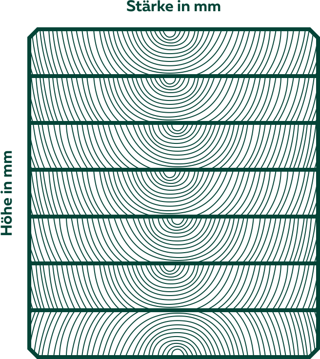 Querschnitt Brettschichtholz